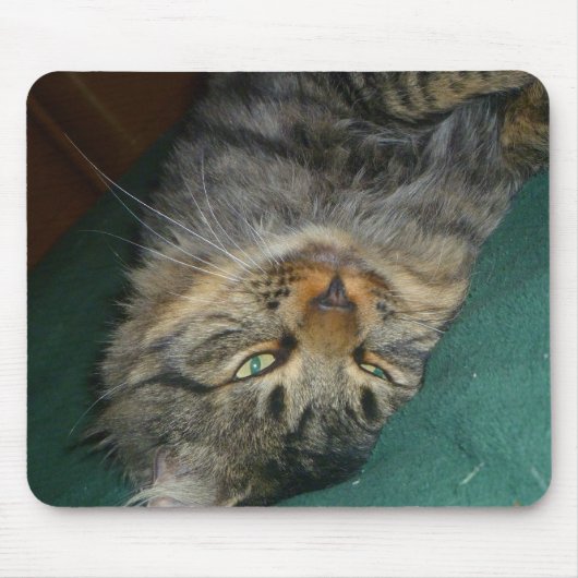 De tekening muismat (Voorkant)