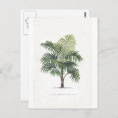 De tekeningenCollectie van de palm Briefkaart (Voorkant / Achterkant)