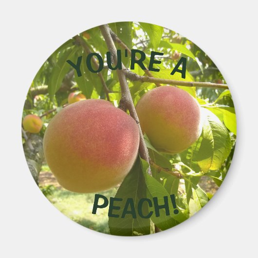 De tekst van de Foto van de peach U bent een Perzi Magneet (Voorkant)