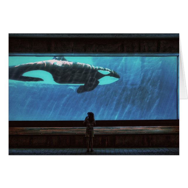 De teller (Voorkant Horizontaal)