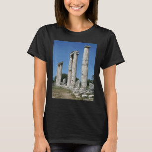 De tempel van Aphrodite ruïnes van Aphrodisias Tur T-shirt