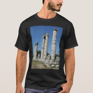 De tempel van Aphrodite ruïnes van Aphrodisias Tur T-shirt