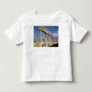 De tempel van Apollo Kinder Shirts