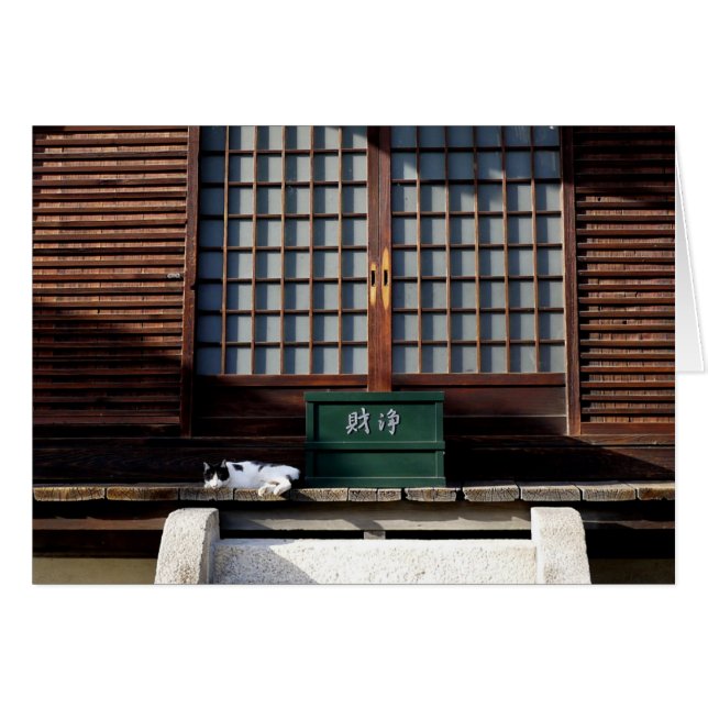 De Tempelkat (Voorkant Horizontaal)