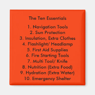De Ten Essentials Magnet