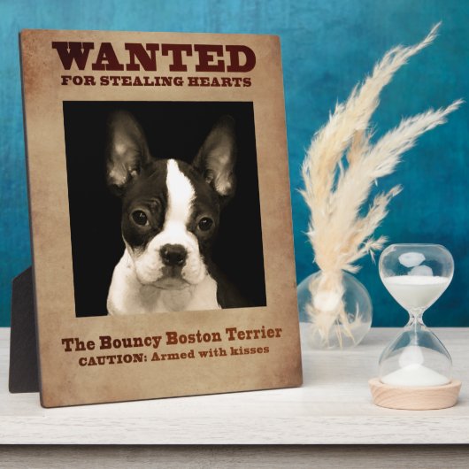 De Terrier Bouncy Boston Fotoplaat (Zijkant)