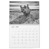 De Terrier Dog van de grens, Middelgrote, Witte Ka Kalender (Mar 2027)