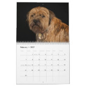 De Terrier Dog van de grens, Middelgrote, Witte Ka Kalender (Feb 2027)