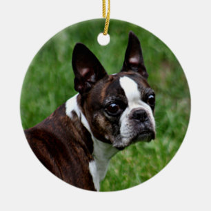 De terriër van Boston Keramisch Ornament