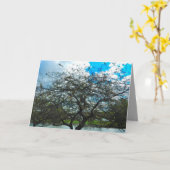 DE TEST VAN DE KAART VAN DE TIJD (Gele Bloem)