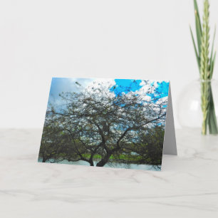 DE TEST VAN DE KAART VAN DE TIJD