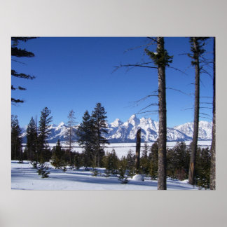De Tetons in februari Poster