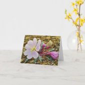 De Teunisbloem Notecard van de woestijn Kaart (Gele Bloem)