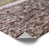 De Texas A&M-bomen Poster (Hoek)