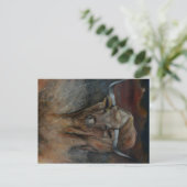 De Texas Longhorn Bull Briefkaart (Staand voorkant)
