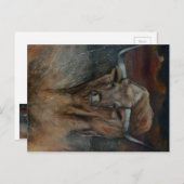 De Texas Longhorn Bull Briefkaart (Voorkant / Achterkant)