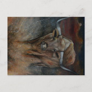 De Texas Longhorn Bull Briefkaart