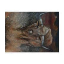 De Texas Longhorn Bull