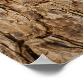 De textuur van de boomschors, natuurlijke houten a poster (Hoek)