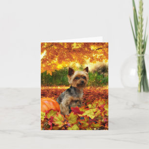 De Thanksgiving van de herfst - Tucker - Yorkie Feestdagen Kaart