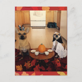 De Thanksgiving van de hond Feestdagenkaart