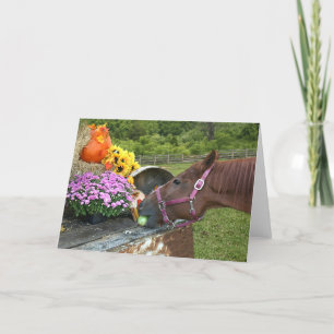 De Thanksgiving van het paard Feestdagen Kaart