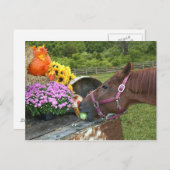 De Thanksgiving van het paard Feestdagenkaart (Voorkant / Achterkant)