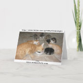 De Thanksgiving van katten! Feestdagen Kaart (Achterkant)