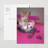 De theebeker fee briefkaart (Voorkant / Achterkant)