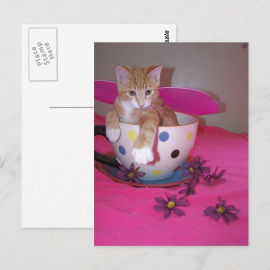 De theebeker fee briefkaart (Voorkant / Achterkant)