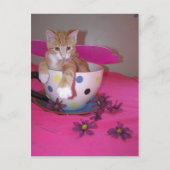 De theebeker fee briefkaart (Voorkant)