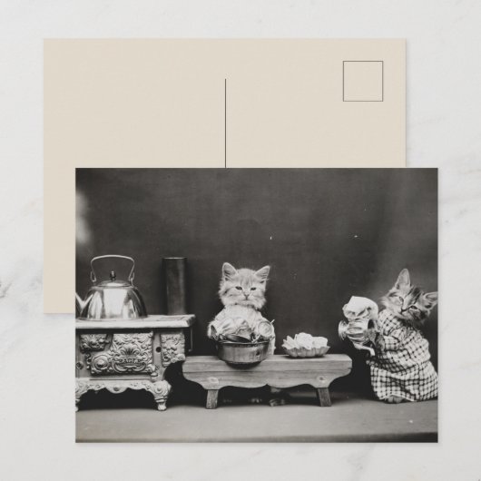 De theepot reinigen briefkaart (Voorkant / Achterkant)