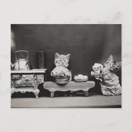 De theepot reinigen briefkaart (Voorkant)