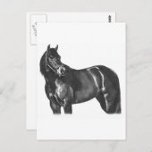 De Thoroughbred Briefkaart (Voorkant / Achterkant)