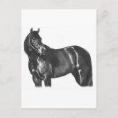 De Thoroughbred Briefkaart (Voorkant)
