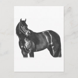 De Thoroughbred Briefkaart