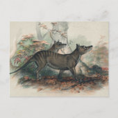 De Thylacine van Joseph Wolf Briefkaart (Voorkant)