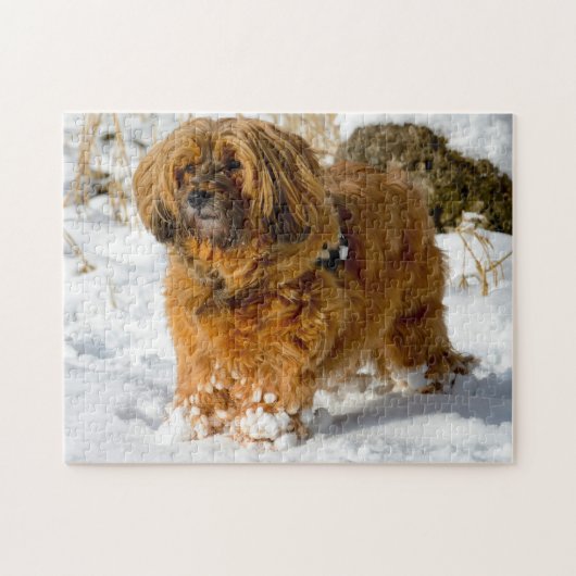 De Tibetaanse Terrier Dog Jigsaws. Legpuzzel (Horizontaal)