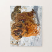 De Tibetaanse Terrier Dog Jigsaws. Legpuzzel (Verticaal)