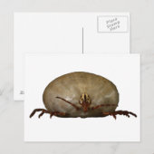 De Tick Briefkaart (Voorkant / Achterkant)