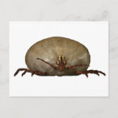 De Tick Briefkaart (Voorkant)