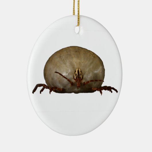 De Tick Keramisch Ornament (Rechts)