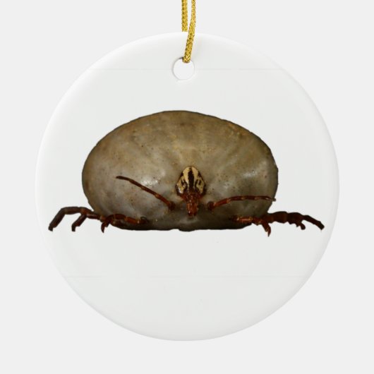 De Tick Keramisch Ornament (Voorkant)
