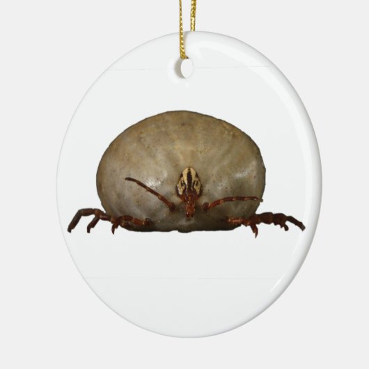 De Tick Keramisch Ornament (Links)