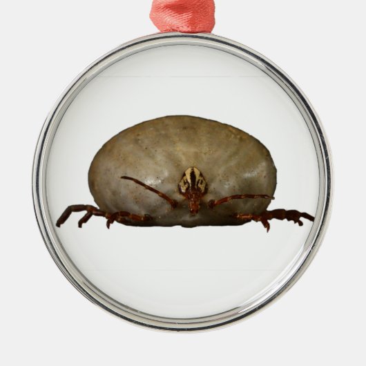 De Tick Metalen Ornament (Voorkant)