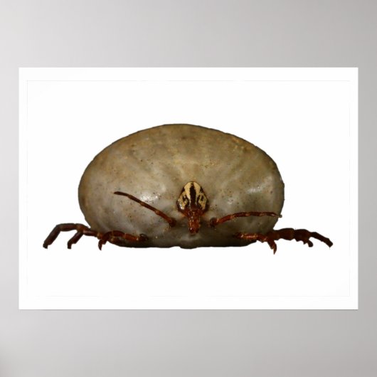 De Tick Poster (Voorkant)