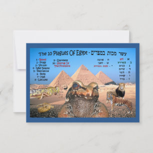 De tien Egyptische vlaggen