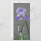 De Tien Geboden Kaart (Achterkant)