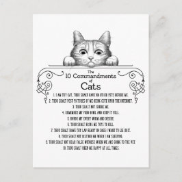De tien geboden van Cats Funny Briefkaart