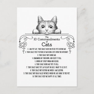 De tien geboden van Cats Funny Briefkaart